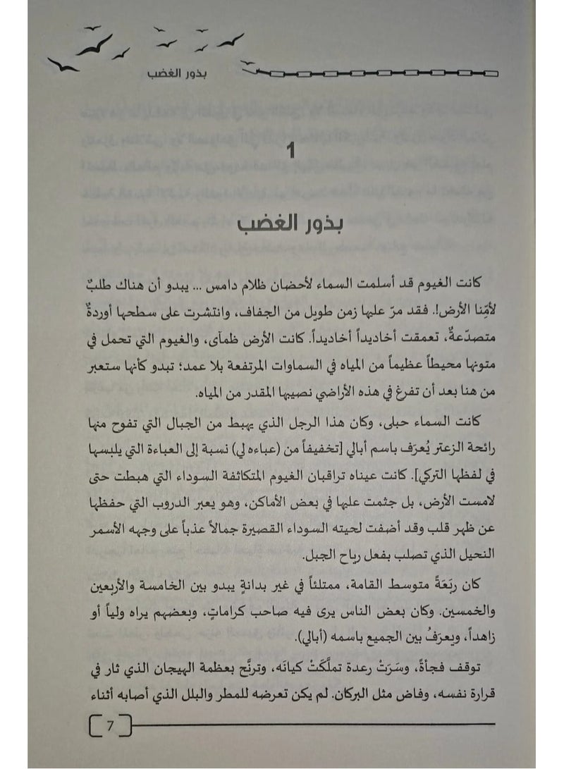 The book “Birds of Freedom” translated into Arabic written by Ahmed Gon Bey Yildiz  - Image 4