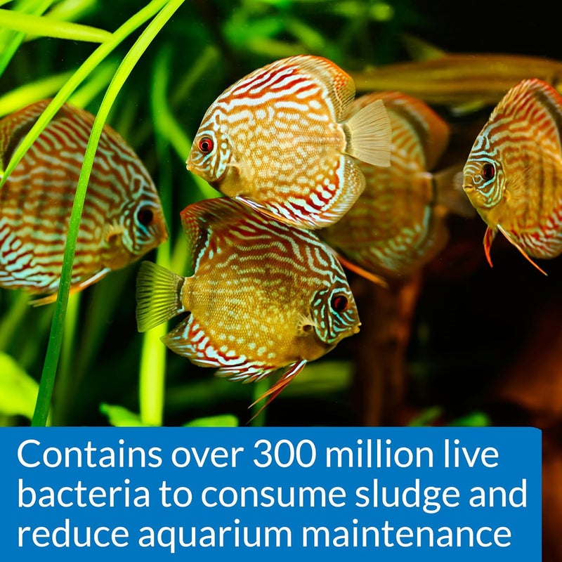 API STRESS ZYME Freshwater and Saltwater Aquarium Cleaning Solution - 1 Gallon - Image 3