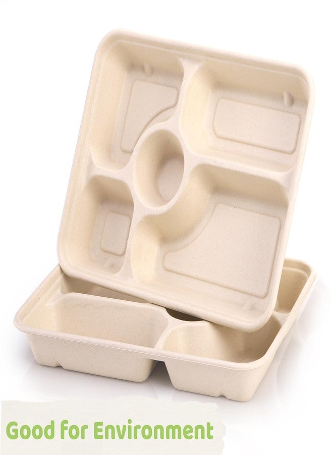 Eorbow 50 Pack 5 Compartment Disposable Paper Plates, 11" x 8" Compostable Bagasse School Lunch Tray, Heavy-Duty Sectional Sugarcane Plate, Divided Platter Tray for Buffet Party, Microwave Safe - Image 4