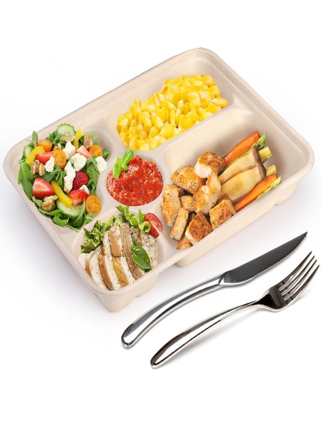 Eorbow 50 Pack 5 Compartment Disposable Paper Plates, 11" x 8" Compostable Bagasse School Lunch Tray, Heavy-Duty Sectional Sugarcane Plate, Divided Platter Tray for Buffet Party, Microwave Safe - Image 3