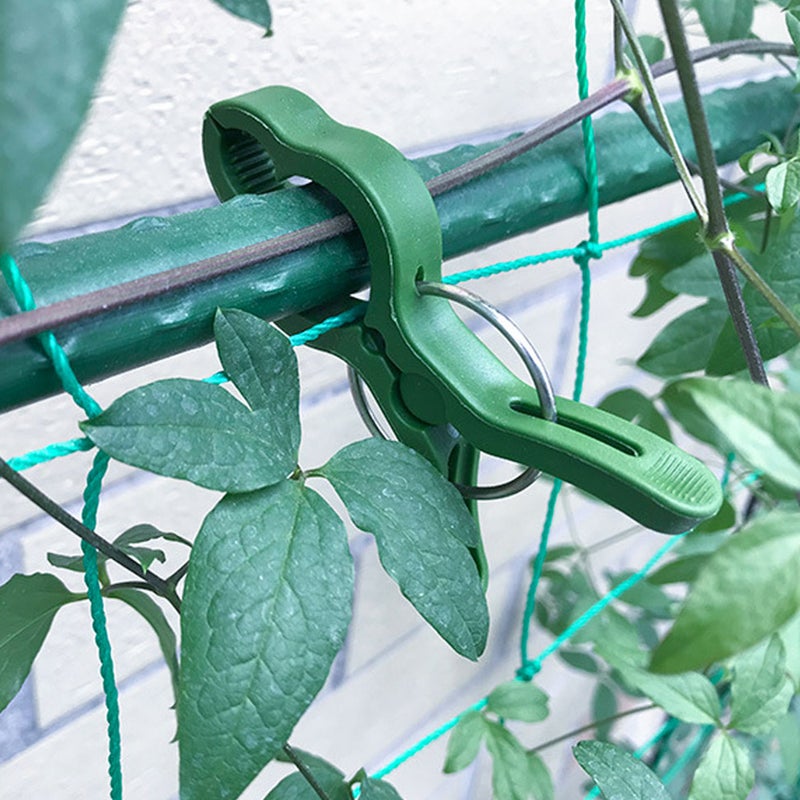 60pcs Garden Tomato Vine Clips Tomato Fixing Clamps Plant Clamps Small Plant Clips Accessories - Image 3