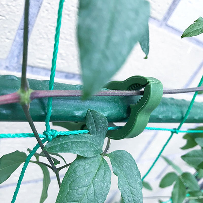 60pcs Garden Tomato Vine Clips Tomato Fixing Clamps Plant Clamps Small Plant Clips Accessories - Image 5