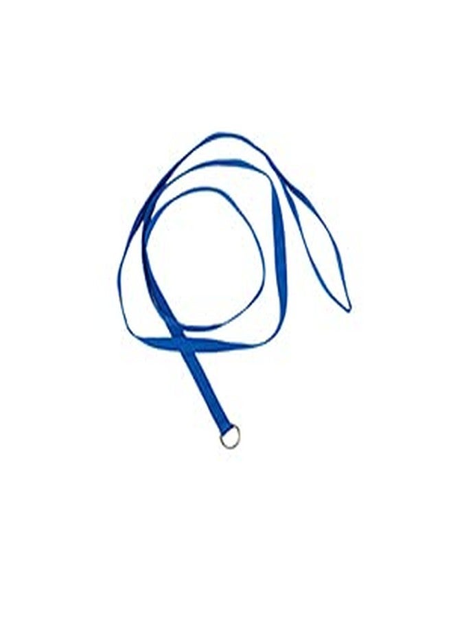 GROOMER ESSENTIALS 6' Slip Lead for Small Dogs - Blue Slip Leads Kennel Package, 12 Pack Slip Leash for Small Dogs - Image 1
