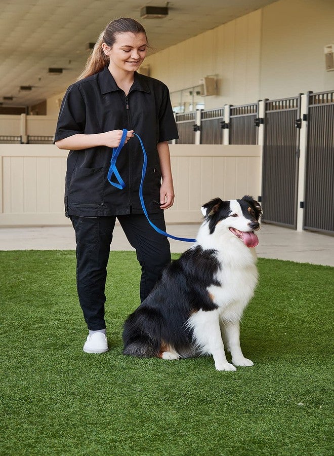 GROOMER ESSENTIALS 6' Slip Lead for Small Dogs - Blue Slip Leads Kennel Package, 12 Pack Slip Leash for Small Dogs - Image 2