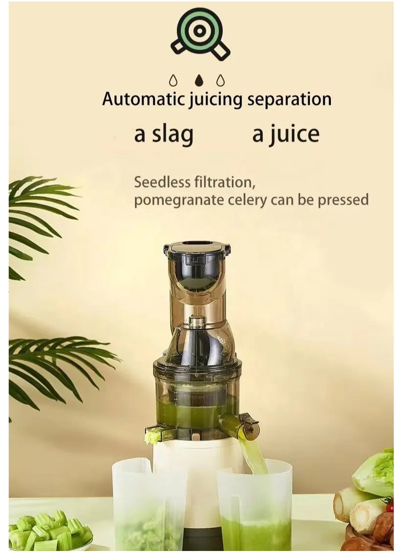 3-in-1 Cold Press Juicer Machine, Stainless Steel Multi-Function Slow Juice Extractor for Fruits & Vegetables, Orange Juice Maker for Home, Office, Cafe, Restaurant