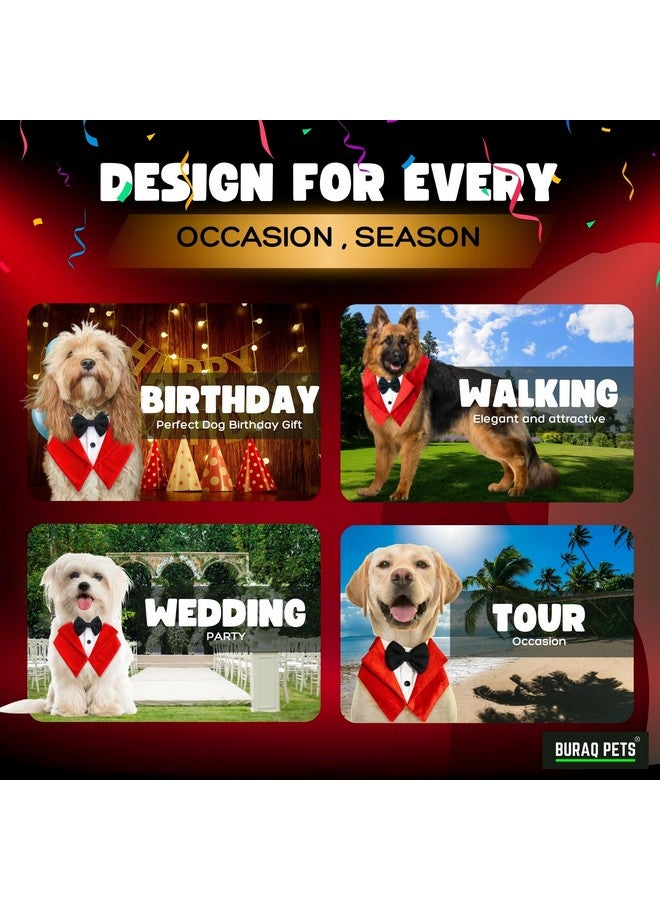 Buraq Dog Tuxedo, W Bandana Pattern Bow tie, Wedding Party Suit for Small Medium Large, Male and Female Dogs Golden Retriever Labrador Shitzu Pug (L, Red) - Image 2
