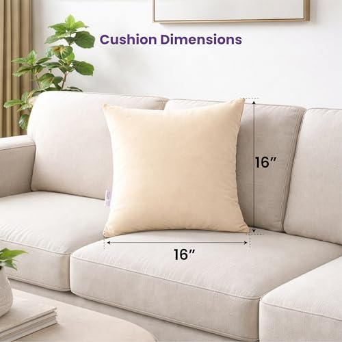 MY ARMOR Microfibre Cushion for Sofa | Set of 5 Soft & Fluffy Square Sofa Cushions | Decorative Sofa Pillows for Bed, Chair, Car & Living Room | Velvet Cover | Cream | 16 x 16 Inch - Image 3