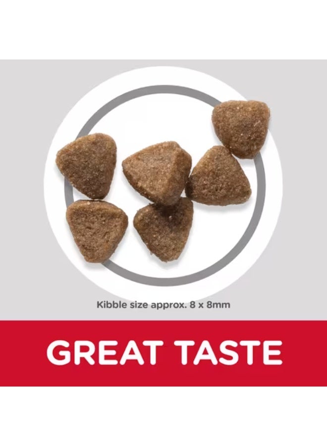 هيلز ساينس بلان غذاء بطعم الدجاج للقطط الصغيرة - Image 4