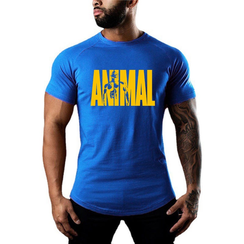 Men''s Summer Fitness Short-Sleeved Training T-Shirt Fitness Clothing Elastic Casual Sweat-Absorbent Breathable Training Clothing Round Neck Bottoming - Image 1