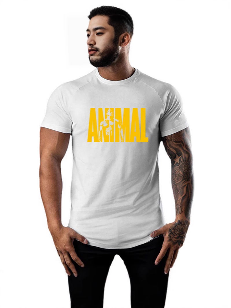Men''s Summer Fitness Short-Sleeved Training T-Shirt Fitness Clothing Elastic Casual Sweat-Absorbent Breathable Training Clothing Round Neck Bottoming - Image 4