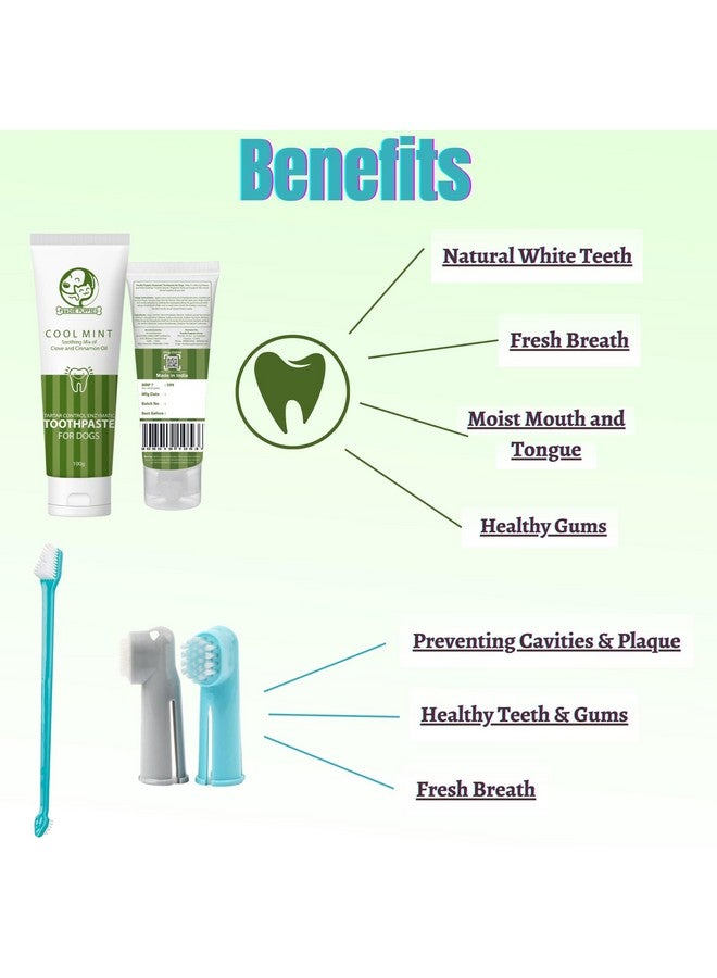 Pet Dental Oral Care Kit Combo - (Coolmint Toothpaste- 100G + 3Pcs Toothbrush) For Dogs | Soothes Inflame Gums, Remove Bad Breath, And Mix Of Clove & Cinnamon Oil For Dogs And Puppies - Image 3
