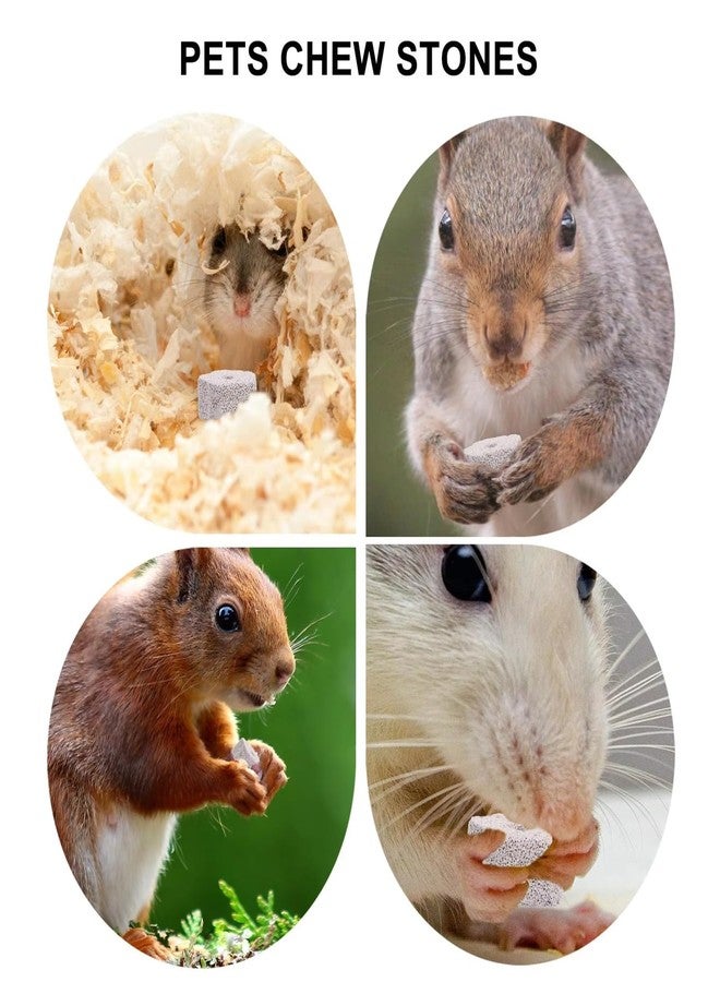 UtySty 8 Pack Lava Block Chew Toy Small Pet Animal Lava Bites Chews Toy Teeth Grinding Stone Mineral Calcium Block for Chinchilla Hamster Parrot Chinchillas Rabbit Guinea Pig Gerbil Mouse Squirrels - Image 5