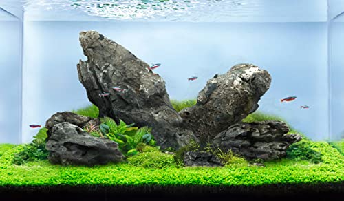 LANDEN Seiryu Stones Natural Rocks (17lbs, 3~11 inches,7-8pcs) for Aquarium, Paludarium, Terrariums, Landscaping Rocks, Aquascaping - Image 1