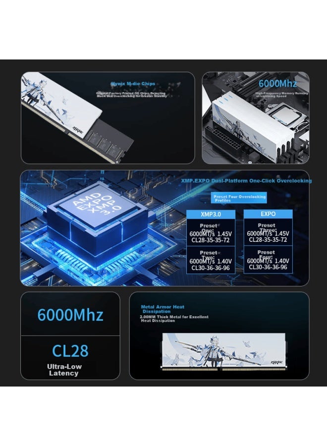 رام سطح المكتب زهيك 16 جيجابايت DDR5 6000 C28 مع مبرد حرارة طائر الحمام الأبيض شرائح Hynix M-die الأصلية