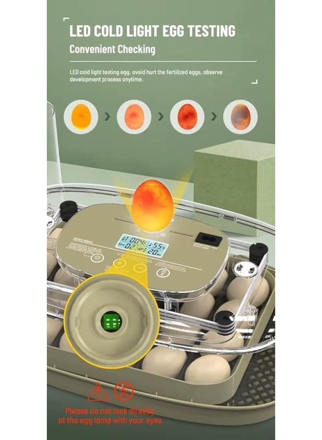 Neo Classic 24 Egg Incubator, Automatic Temperature Control, LED Tester, for Chicken, Quail, Duck, Turkey, Goose Eggs - Image 3