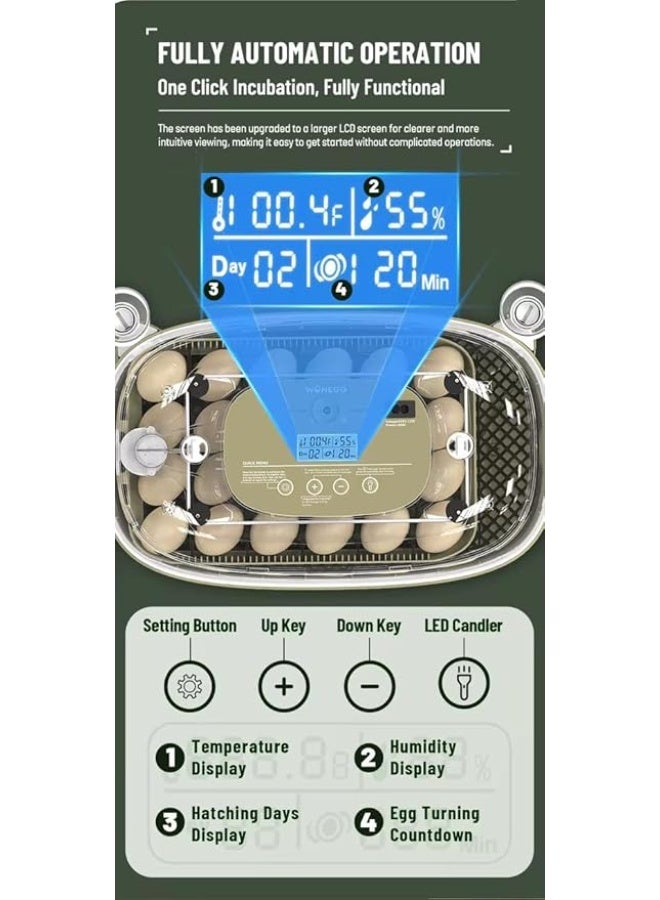 Neo Classic 24 Egg Incubator, Automatic Temperature Control, LED Tester, for Chicken, Quail, Duck, Turkey, Goose Eggs - Image 4