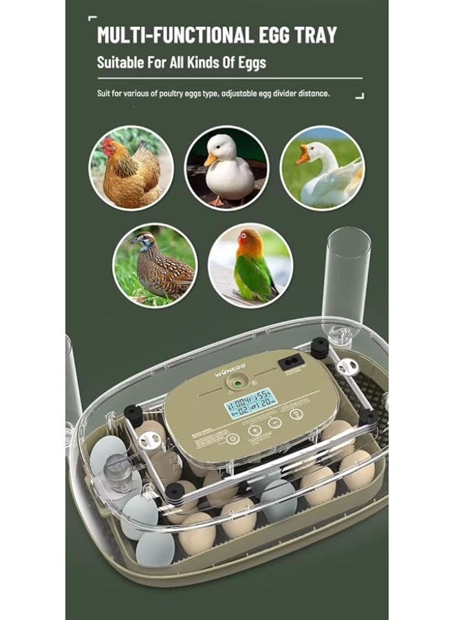 Neo Classic 24 Egg Incubator, Automatic Temperature Control, LED Tester, for Chicken, Quail, Duck, Turkey, Goose Eggs - Image 5