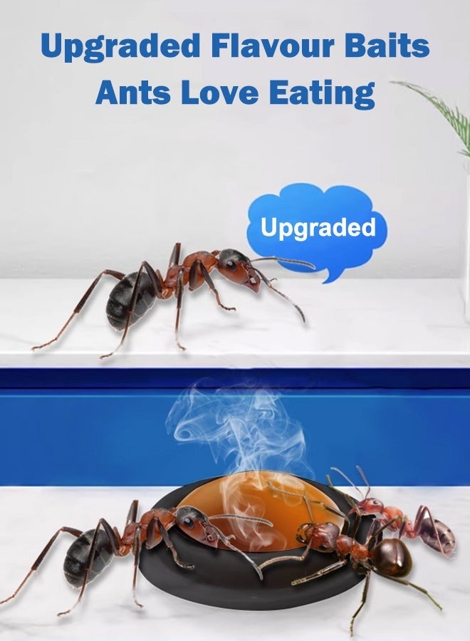 1 عبوة تحتوي على 8 قطع من مصائد النمل الفعالة على شكل جل للاستخدام المنزلي الداخلي على أسطح المطابخ وزوايا غرف المعيشة وأرضيات غرف النوم وفجوات الخزائن وأحواض الحمامات، تقضي على النمل الأحمر والأسود والأصفر وتحافظ على منزلك خاليًا من النمل. - Image 4