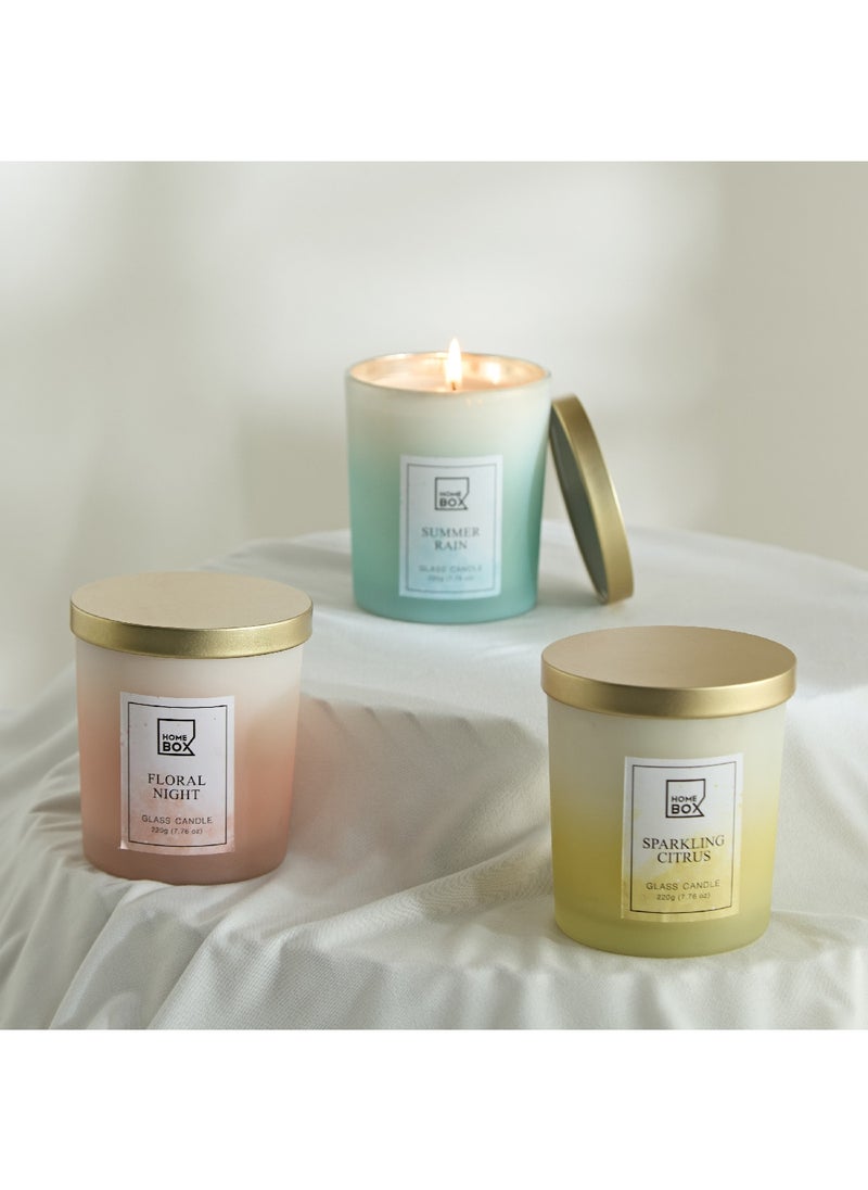 Garden Summer Rain Jar Candle with Lid 220 g