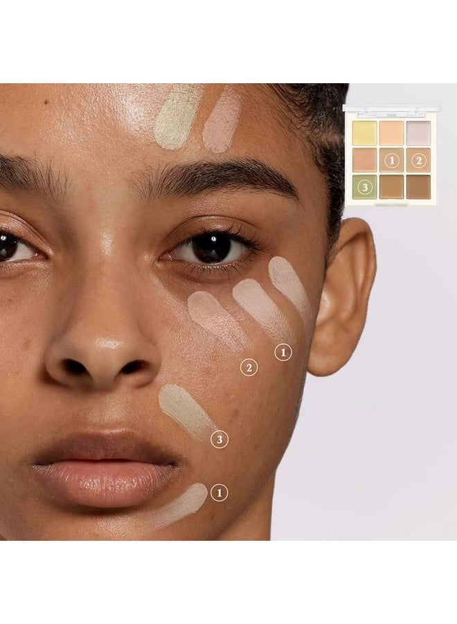 داسيك لوحة كونسيلر احترافية (02 غطاء متوسط) مصحح ألوان للمكياج الكوري النباتي - Image 3