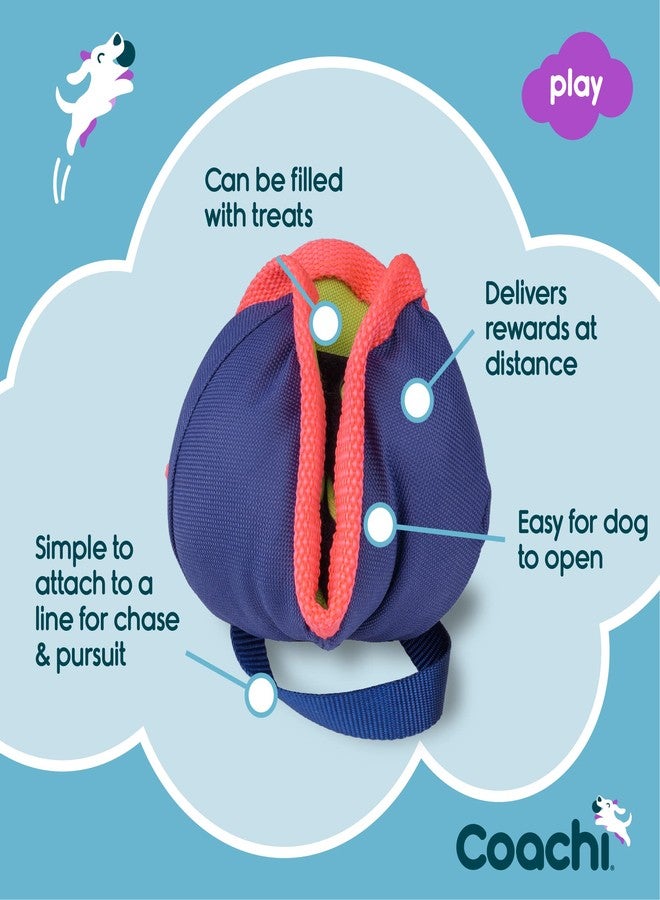 Company of Animals Coachi Chase & Treat - A Fun Enrichment Dog Toy, Fill with Treats for Interactive Play. Good for Motivating, Distance Reward Training & Encouraging Retrieval. Ideal for Agility & Suitable for Puppies - Image 3