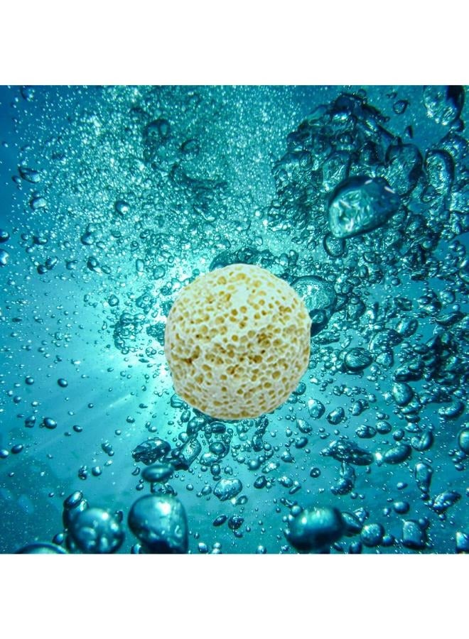 B&K Bio Ball حوض السمك المسامي السيراميك وسيط مرشح خزان الأسماك منزل البكتيريا للمياه العذبة البحرية خزان حوض السمك الترشيح 500 جرام - Image 5