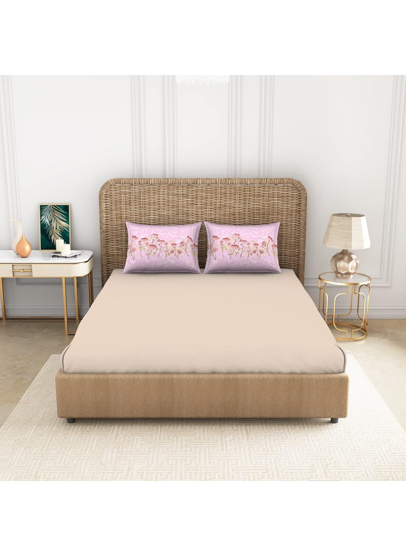SPACES Spaces 100 Cotton Bedsheet Large Anti Viral Soft Feel Skin Safe 144 Tc Beige Bedsheet King Size Bed Cotton  - Image 1