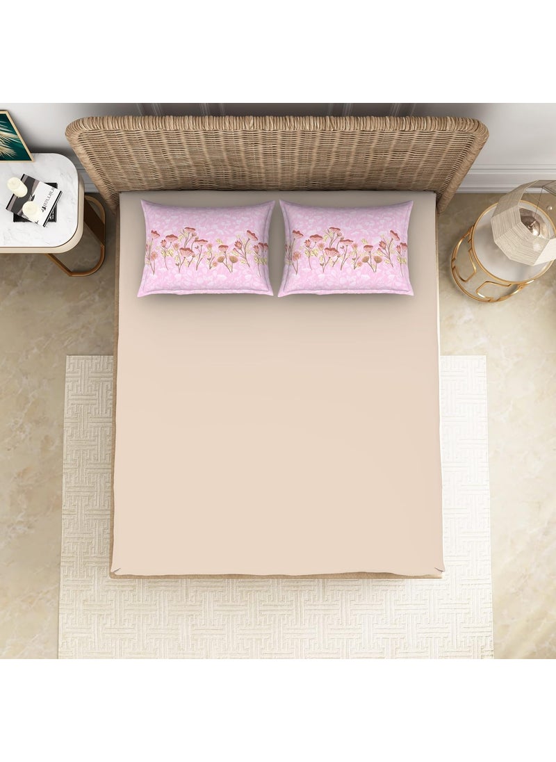 SPACES Spaces 100 Cotton Bedsheet Large Anti Viral Soft Feel Skin Safe 144 Tc Beige Bedsheet King Size Bed Cotton  - Image 3