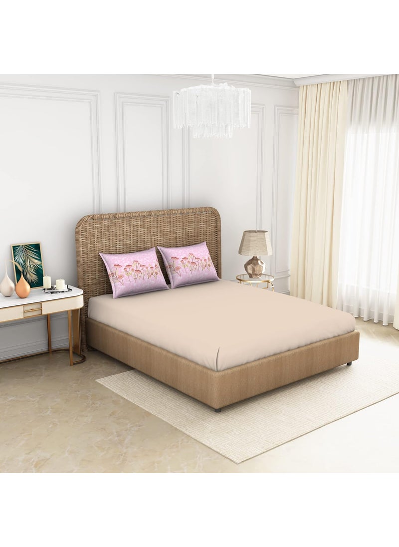 SPACES Spaces 100 Cotton Bedsheet Large Anti Viral Soft Feel Skin Safe 144 Tc Beige Bedsheet King Size Bed Cotton  - Image 2