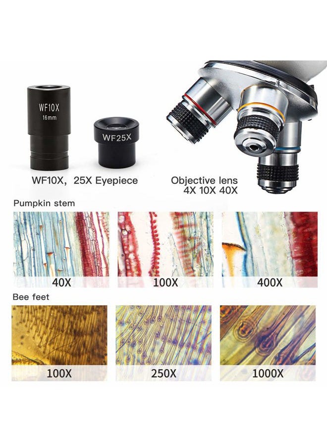 Swift Microscope SW150,Compound Student Microscope,40X-1000X,Monocular Head,Coarse & Fine Focusing,Dual Illumination,Cordless-Capable with Eyepiece Camera and Software Windows and Mac Compatible  - Image 5