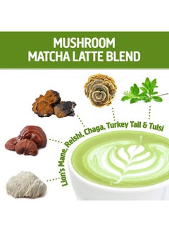 Om Mushroom Superfood Matcha Latte Blend Mushroom Powder Single Serve 10 Count Green Tea Lion Mane Reishi Chaga Turkey Tail Focus & Stress Support Supplement  - Image 4