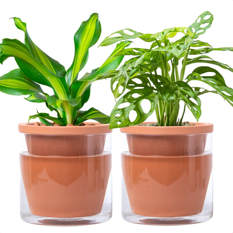 D'vine Dev 6 Inch Design Self Watering Pot for Indoor Plants, Terracotta Planter with Cylinder Glass Cup, Set of 2, 37-Y-B-1 - Image 1