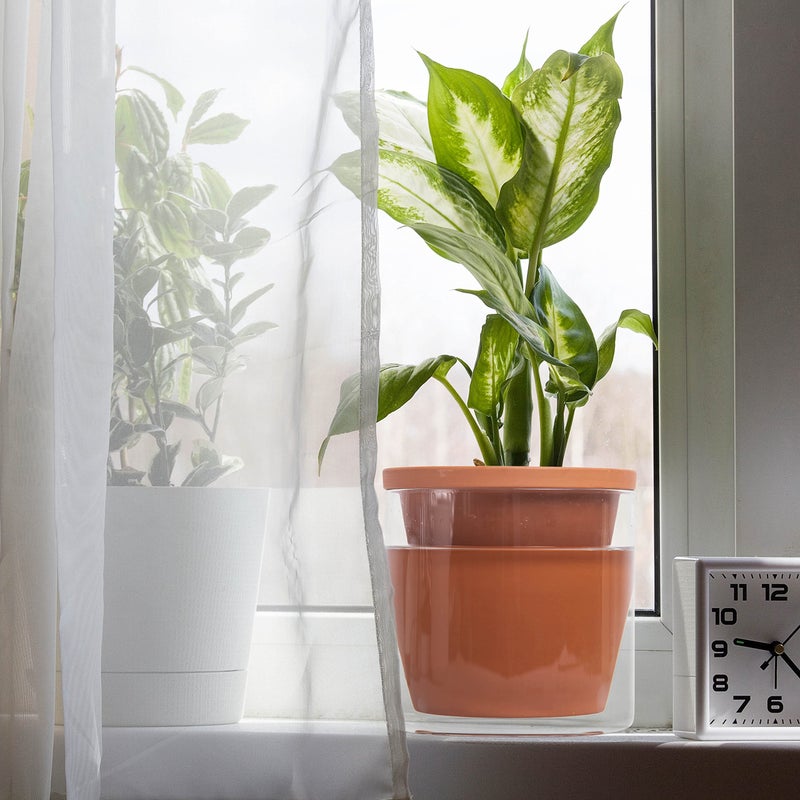 D'vine Dev 6 Inch Design Self Watering Pot for Indoor Plants, Terracotta Planter with Cylinder Glass Cup, Set of 2, 37-Y-B-1 - Image 5