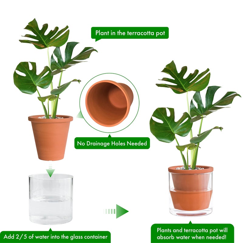 D'vine Dev 6 Inch Design Self Watering Pot for Indoor Plants, Terracotta Planter with Cylinder Glass Cup, Set of 2, 37-Y-B-1 - Image 4