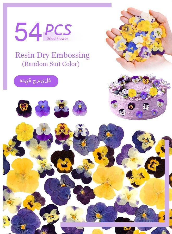 54 Pcs Dried Pressed Flowers for Resin DIY Art Crafts Natural Dry Floral Epoxy Jewelry Real Flower Decor Cakes Phone Cases Candles Handmade Soap Purple Pansy - Image 1