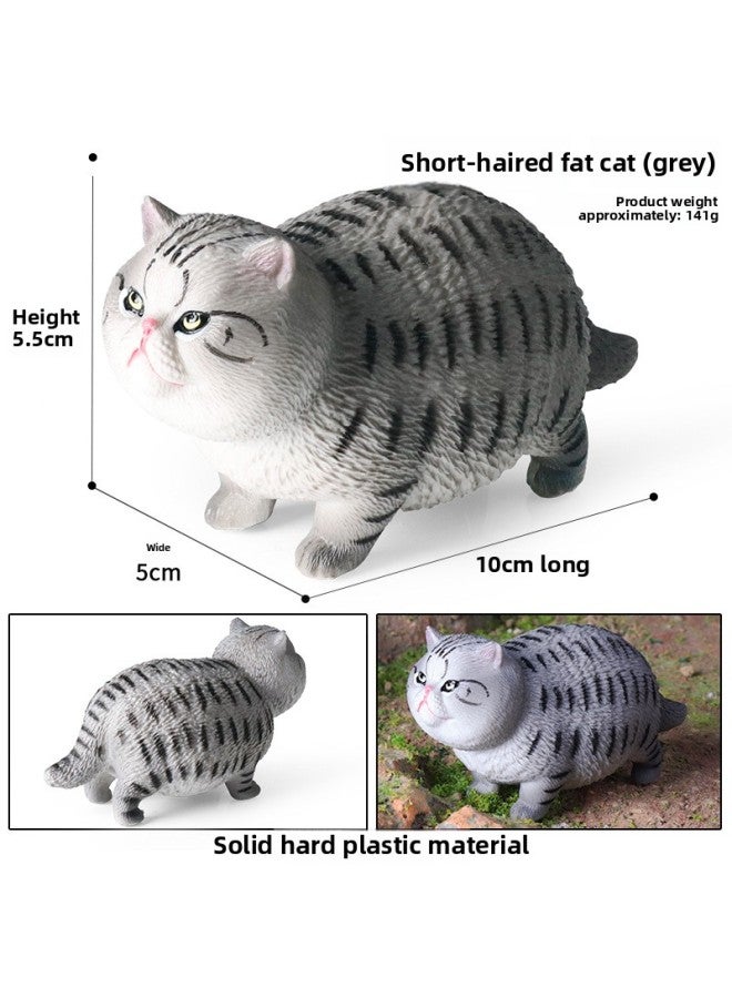Children's Simulation Short-haired Fat Cat Model Cognitive Cat Accessories Domestic Cat Birthday Gift English Short Tabby Doll Ornaments-Color:M-3246 Short Hair Fat Cat (gray)  - Image 1