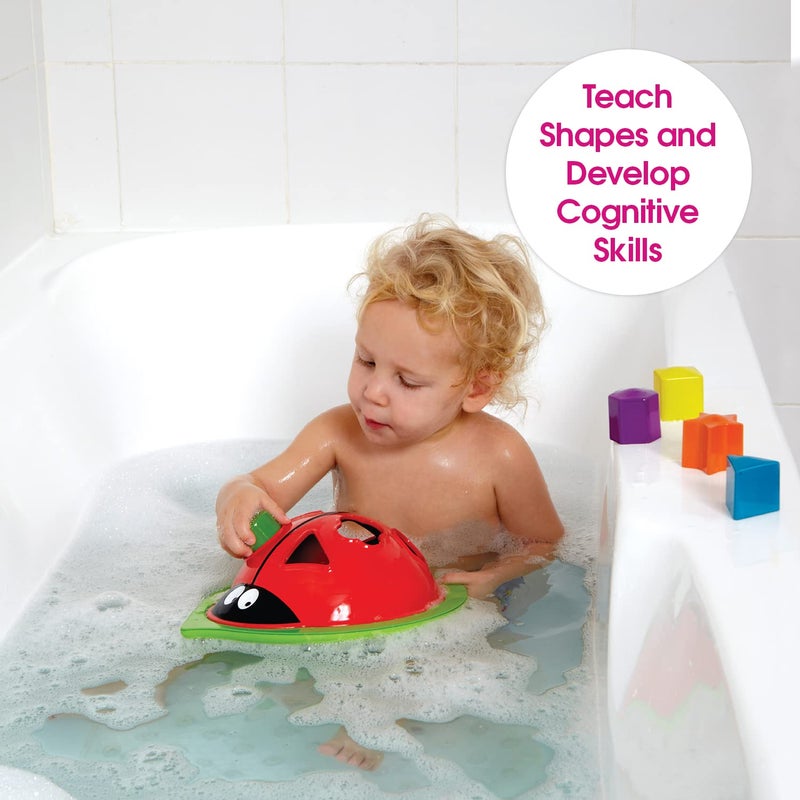 Edushape مُصنّف خنفساء إدوشيب - Image 4