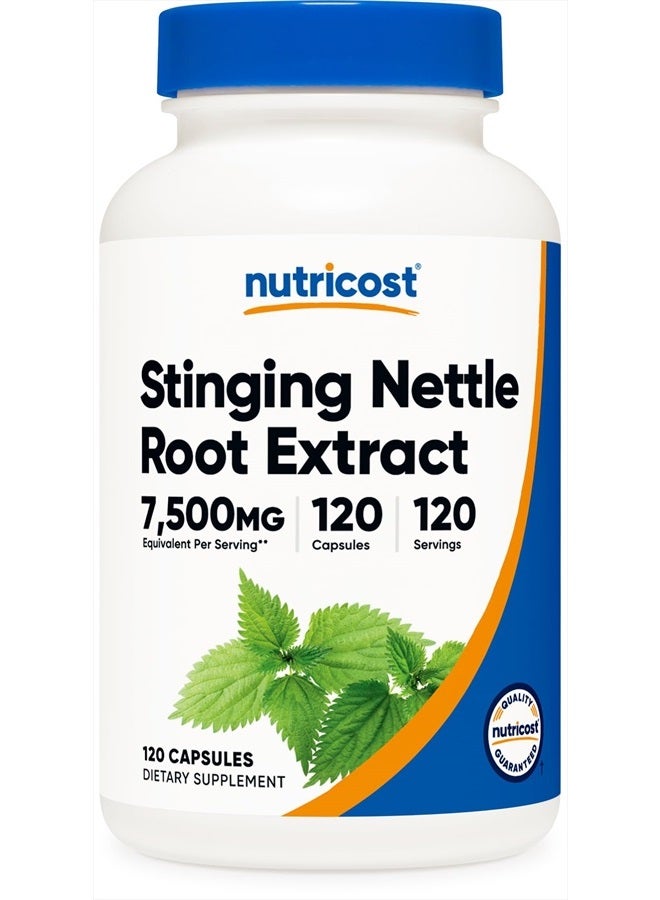 Nutricost مستخلص جذر نبات القراص 7500 ملجم، 120 كبسولة - مناسب للنباتيين، غير معدّل وراثيًا، خالٍ من الجلوتين (750 ملجم من مستخلص 10:1) - Image 1