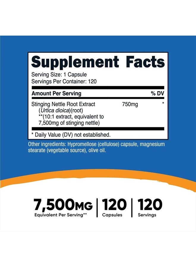 Nutricost مستخلص جذر نبات القراص 7500 ملجم، 120 كبسولة - مناسب للنباتيين، غير معدّل وراثيًا، خالٍ من الجلوتين (750 ملجم من مستخلص 10:1) - Image 4