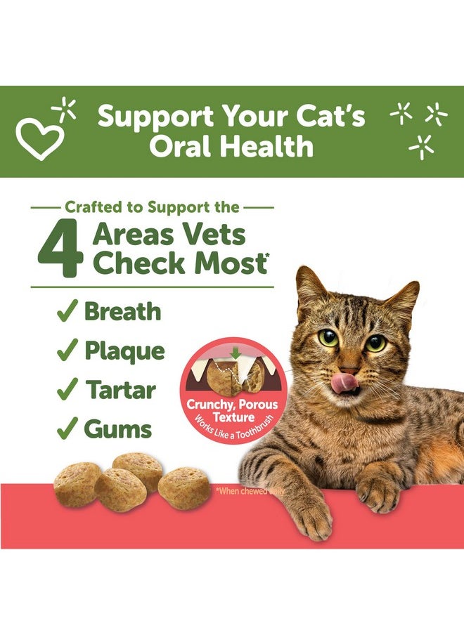 WHIMZEES - Wellness Natural Cat Dental Treats, Chicken & Salmon Flavor, 4.5 Ounce - Image 1