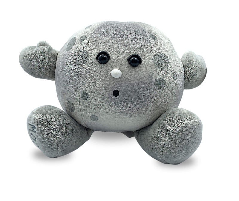 Celestial Buddies Moon Buddy Learning Science Astronomy Space Solar System Educational Plush Stuffed Planet Toy - 8.5 Inches - Image 1