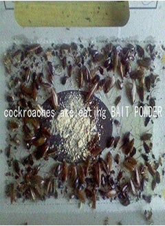 10 Pack Highly Effective Cockroach Killer Bait Powder 10x6g - pzsku/Z4C8B66A0A927B2A85850Z/45/_/1688249805/83916fee-fa95-4e8f-8f76-60ad3a294fad