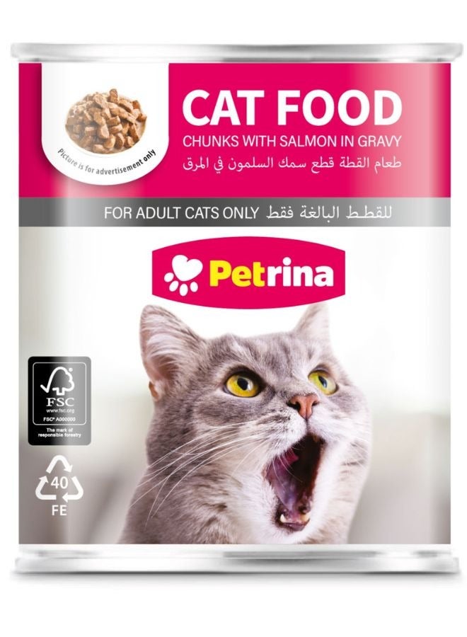 Petrina طعام قطط قطع السلمون في صلصة - Image 1
