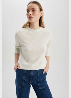 DeFacto Regular Fit Crew Neck Sweater  - Image 1