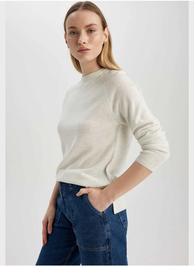 DeFacto Regular Fit Crew Neck Sweater