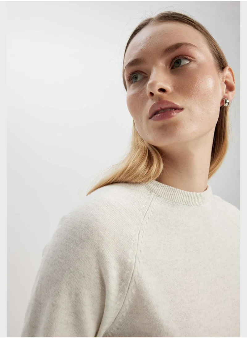 DeFacto Regular Fit Crew Neck Sweater