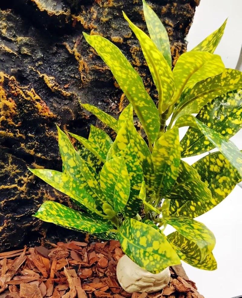 KERUIDENG Reptile Plants Terrarium Artificial Leaves Reptile Tank Decorations for Bearded Dragon Lizard Snake Geckos Chameleon Amphibian Habitat Terrarium Decor - Image 4