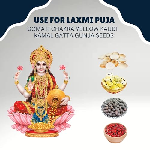 BrijBooti Combo Pack of Gomti Chakra - Pili Kaudi - Kamal Gatta - Gunja Seeds 11 Pieces Each for Lakshmi Pooja, Wealth & Luck - Image 3