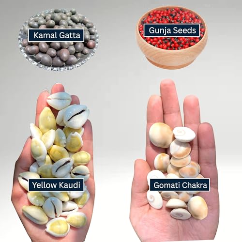 BrijBooti Combo Pack of Gomti Chakra - Pili Kaudi - Kamal Gatta - Gunja Seeds 11 Pieces Each for Lakshmi Pooja, Wealth & Luck - Image 4