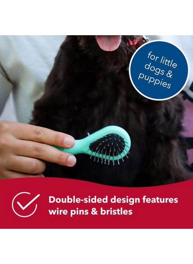 Coastal Pet Li'l Pals Dog Combo Brush - Dog Grooming Brush for Small Dogs - One Size - Image 3